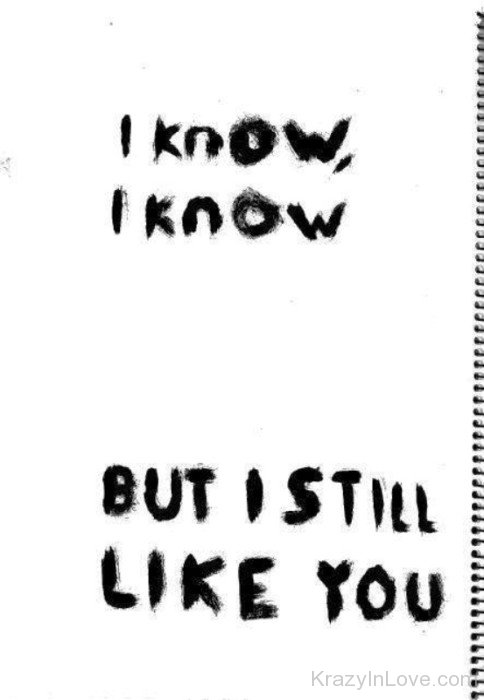 I Know I Know But I Still Like You-re406