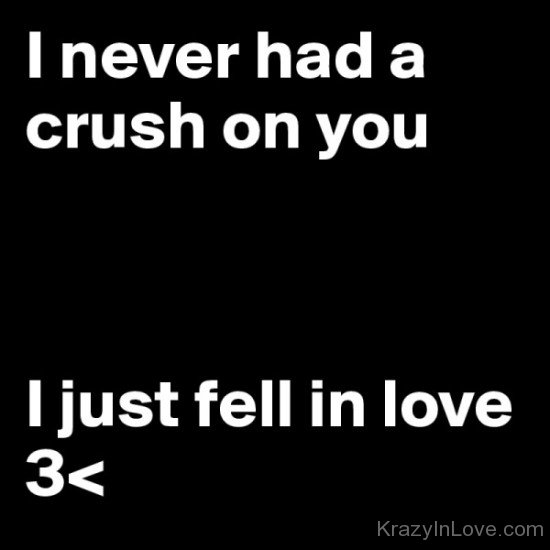 I Never Had A Crush On You-tr515