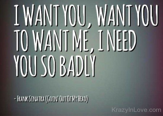 I Want You,I Need You So Badly-nb520