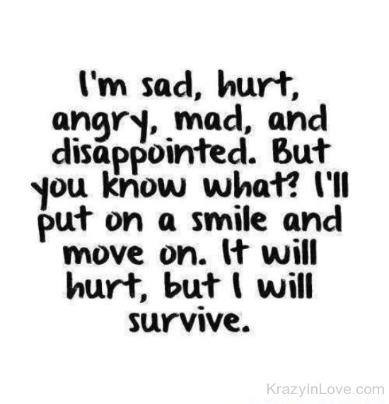 I'm Sad,Hurt,Angry,Mad And Disappointed-vn521
