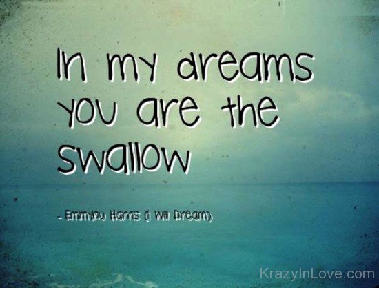 In My Dreams You Are The Swallow-mr319
