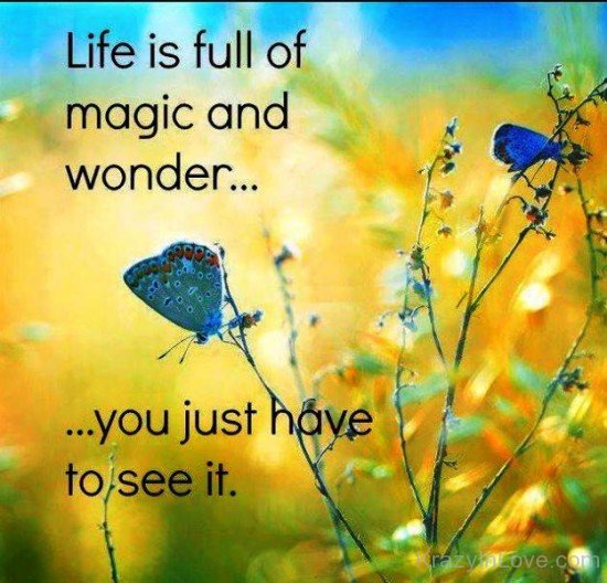 Life Is Full Of Magic And Wonder-yt905