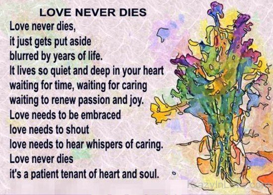 Love Never Dies,It Just Gets Put Aside-nm806