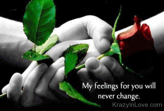 My Feelings For You Will Never Change-uy616