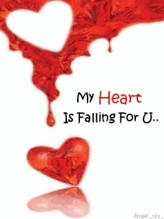 My Heart Is Falling For You-gn525