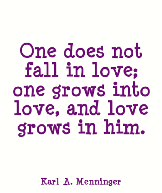 One Does Not Fall In Love-kj825