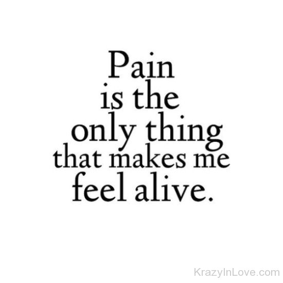 Pain Is The Only Thing-vn528