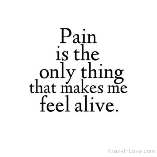 Pain Is The Only Thing-vn528