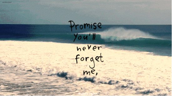 Promise You'll Never Forget Me-hj820