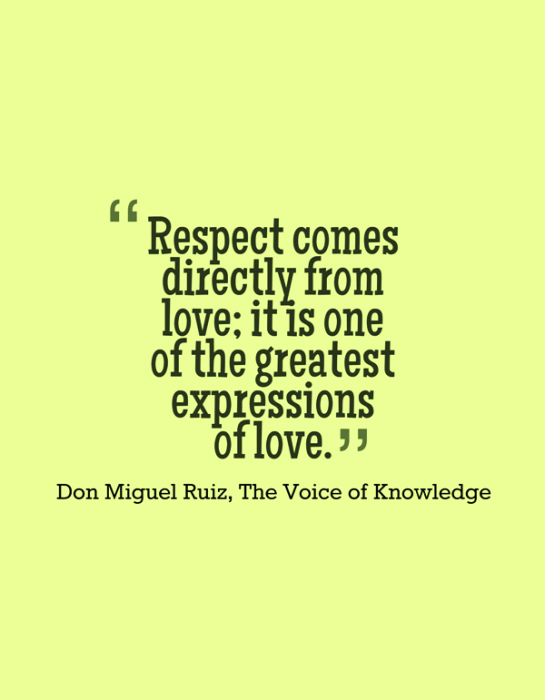 Respect Comes Directly From Love-jh611