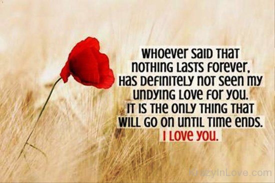Whoever Said That Nothing Lasts Forever-uy637