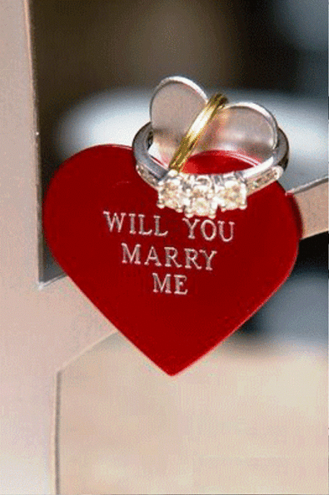 Will You Marry Me With Heart And Ring-ry621