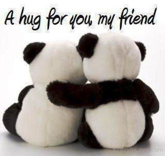 A Hug For You My Friend-dc402