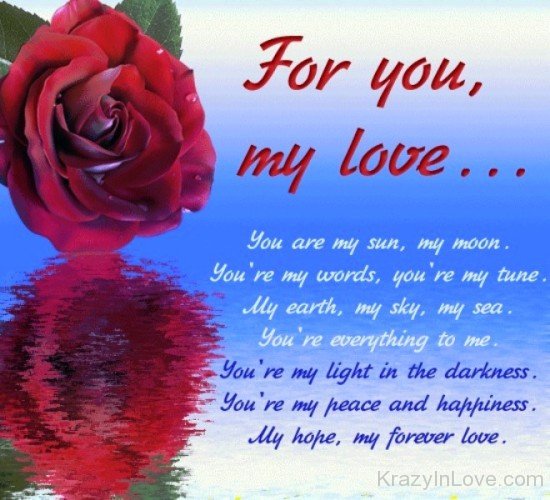 For You My Love-vb603