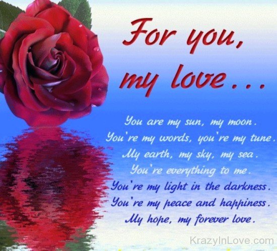 For You My Love-vb603