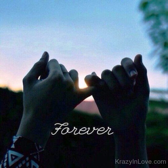 Forever-fv502