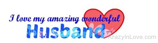 I Love My Amazing Wonderful Husband-pq213