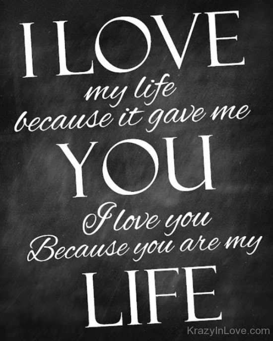 I Love My Life Because It Gave Me You-fv406
