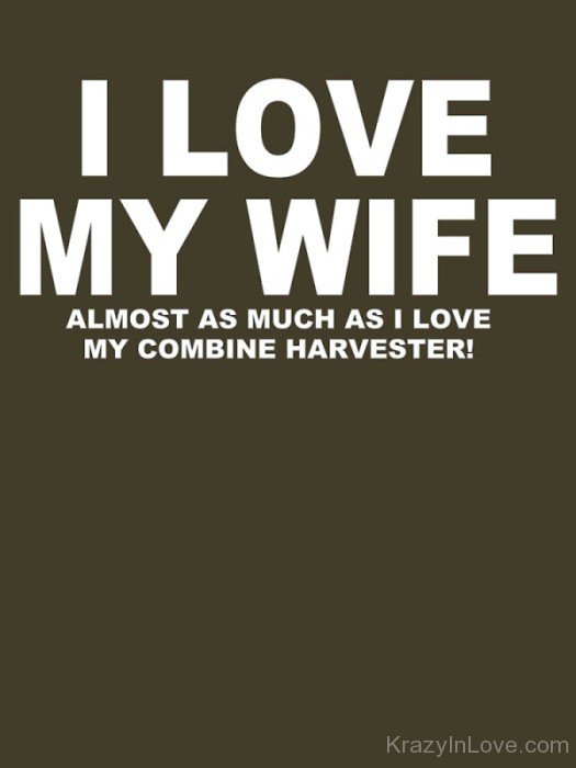 I Love My Wife Almost-cy507