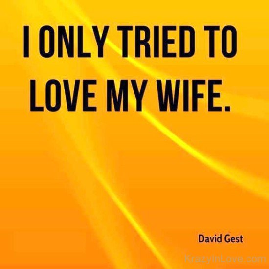I Only Tired To Love My Wife-cy513