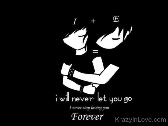 I Will Never Let You Go-vt413