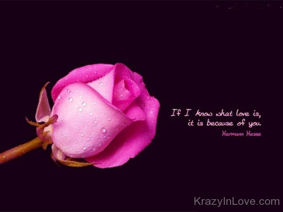 If I Know What Love Is-dv522