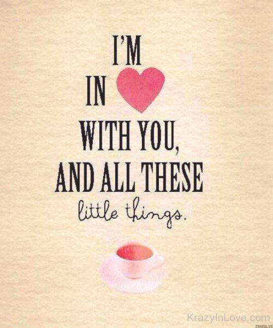 I'm In Love With You And All These Little Things-yn910