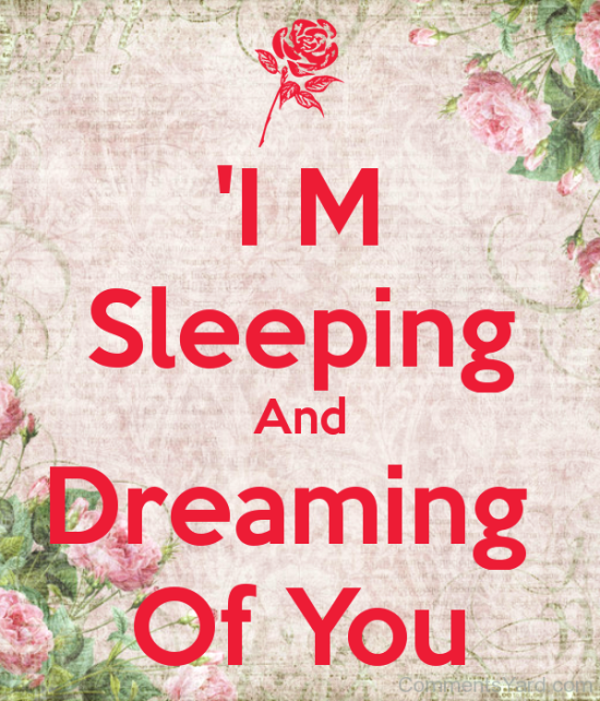 I'm Sleeping And Dreaming Of You-vy619