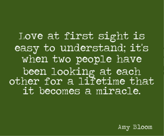 Love At First Sight Is Easy To Understand-DG512