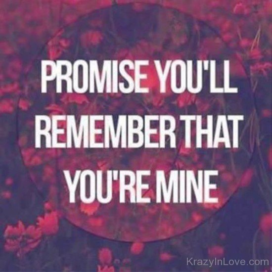 Promise You'll Remember-fv521
