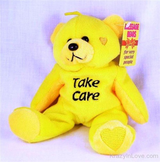 Take Care With Teddy-gb29