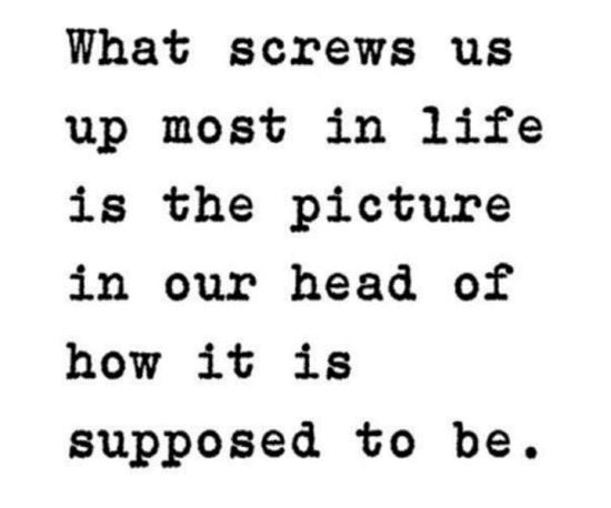 What Screws Us-ed154