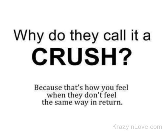 Why Do They Call It A Crush-yn919