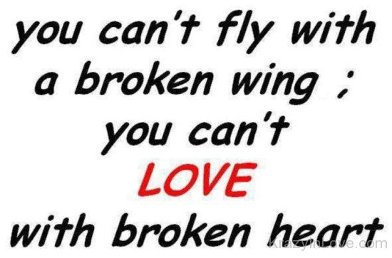 You Can't Fly With A Broken Wing-un530