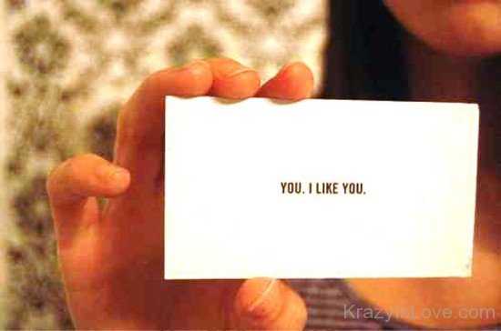 You I Like You-vt420