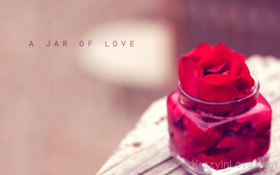 A Jar Of Love-ybv902