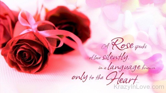 A Rose Speaks Of Love Silently-ybv903