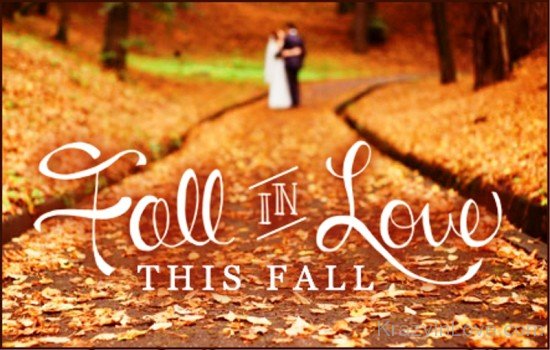 Fall In Love This Fall-rex205