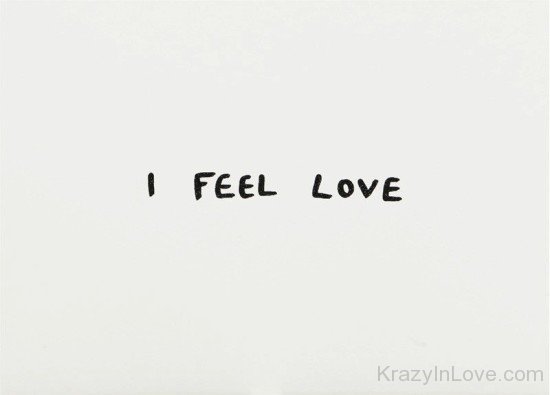 I Feel Love Image-qaz309
