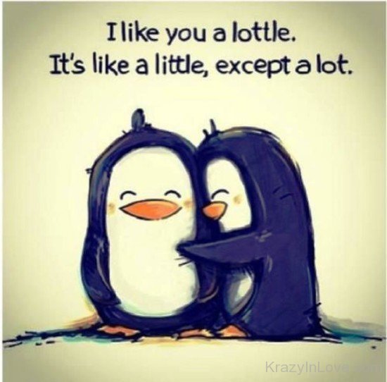 I Like You A Lottle-rwx209