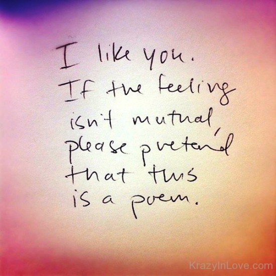 I Like You If The Feeling Isn't Mutual-rwx212