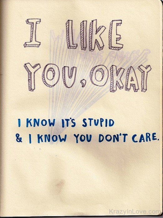 I Like You,Okay I Know It's Stupid-rwx223