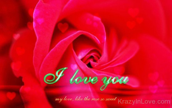 I Love You My Love,Like The Rose So Sweet-ptc321