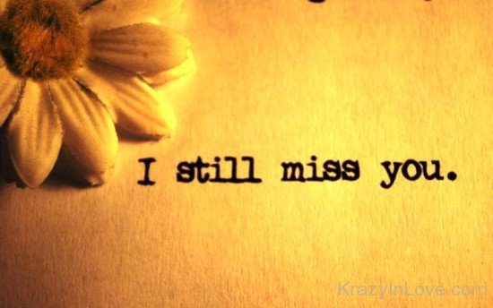 I Still Miss You-vbt525