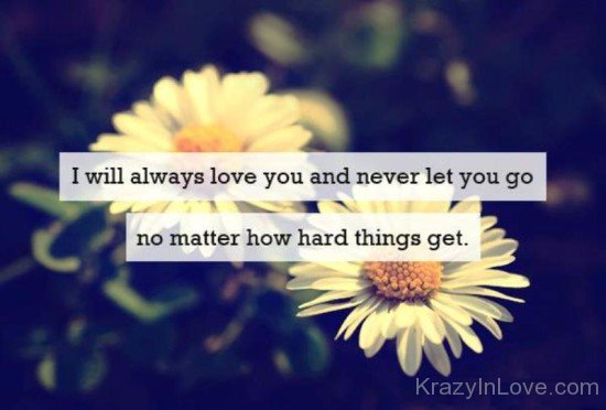 I Will Always Love You And Never Let You Go-rcv506