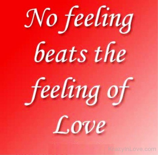 No Feeling Beats The Feeling Of Love-qaz325