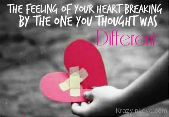 The Feeling Of Your Heart Breaking-tws245
