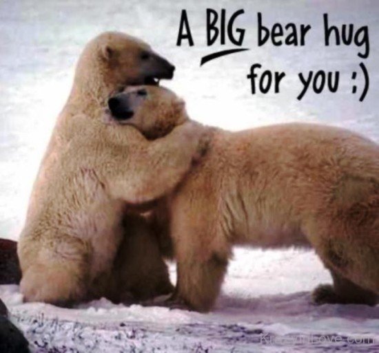 A Big Bear Hug For You-ybz201