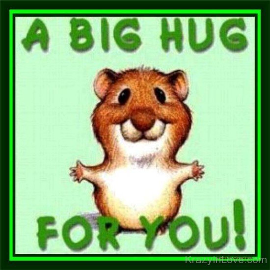 A Big Hug For You-ybz202