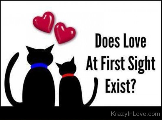 Does Love At First Sight Exist-exz204